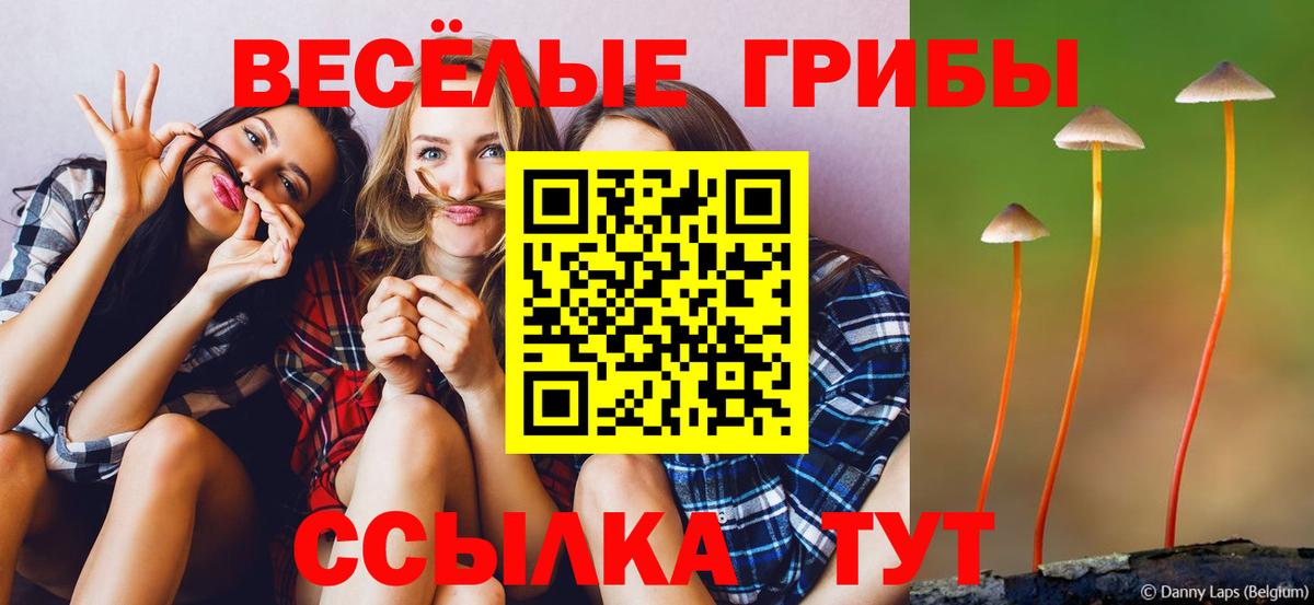Псилоцибиновые грибы Magic Shrooms Волоколамск