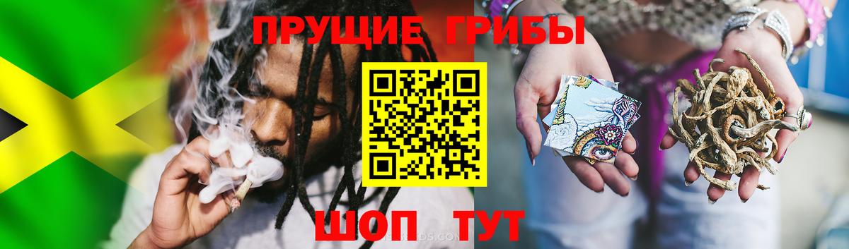 Галлюциногенные грибы мухоморы  где купить наркотик  Волоколамск  Вход с VPN  Галлюциногенные грибы Psilocybine cubensis 